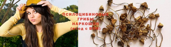 а пвп мука Михайлов