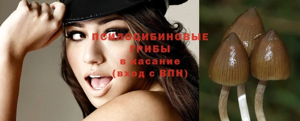 а пвп мука Михайлов