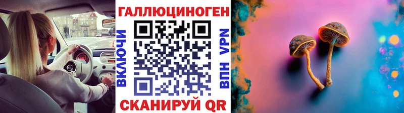 Галлюциногенные грибы MAGIC MUSHROOMS  наркота  Нерчинск 